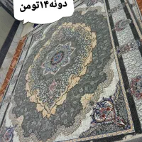 فرش نسترن ۱۲متری ۲۰ جفت|فرش|زاهدان, |دیوار