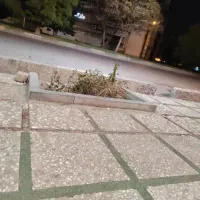 همخونه-میخوام