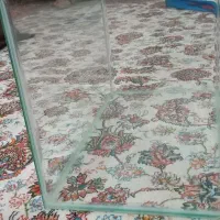 آکواریوم سالم