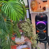 استخدام نیروی خانم برای کافه محدوده شهرک شهرداری