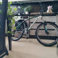 دوچرخه جاینت 26اصلی