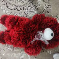 عروسک خرسی بزرگ