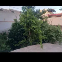 کلینک ماساژ