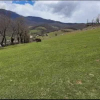 ۳۰۰ متر زمین واقع در مازندران مرزن آباد اغوزداربن|فروش زمین و ملک کلنگی|مرزن‌آباد, |دیوار
