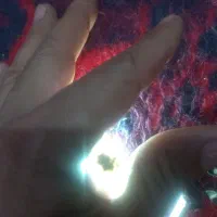 نگین تک درخت شجر تمیز|جواهرات|کارون, |دیوار