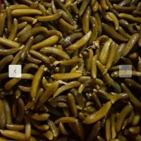 خیارشورحلب در سه سایز،ویژه،سوپر ویژه،فوق سوپر ویژه