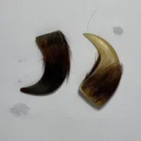 فال بصورت ویدیو و تلفنی هست بالا ویدیو فال گذاشتم|خدمات پذیرایی، مراسم|تبریز, |دیوار