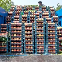 باربری و حمل نقل نیسان وانت بندرگز|خدمات حمل و نقل|بندر گز, |دیوار