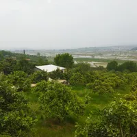 نیازمند همخونه خانم