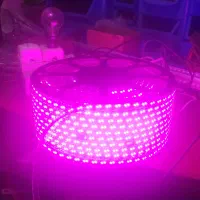 ریسه شیلنگی بنفش ۱۰۰ متری|ریسه و چراغ تزئینی|شاهین‌شهر, سعدی جنوبی|دیوار