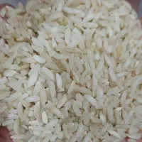 برنج چمپا