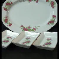 ظروف گل سرخی