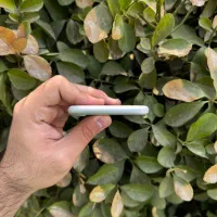 iPhone 7 ایفون|موبایل|تهران, ارم|دیوار
