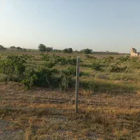 اجاره باغ انگور