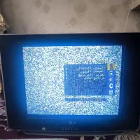 تلویزیون