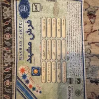 فرش مشهد ۱۲ متری بسیار تمیز|فرش|رشت, کاکتوس|دیوار