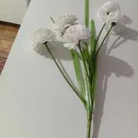 گل مصنوعی|گل مصنوعی|جوانرود, |دیوار