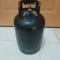 پیک نیک دوقلو