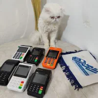 کارتخــخوان تمام اصناف
