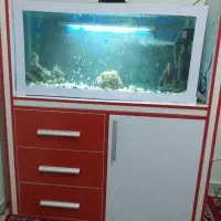 اکواریوم با باکس معاوضه با پرنده