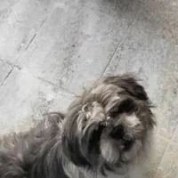 با تربیت خیلی فهمیده با درک بالا