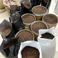 دانه قهوه عربیکا و ربوستا|کافیشاپ و رستوران|اراک, |دیوار