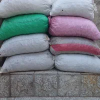 بلوط‌فروشی