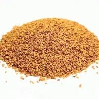 فروش بذر یونجه و شبدر و شنبلیله|خدمات باغبانی و درختکاری|ایلخچی, |دیوار