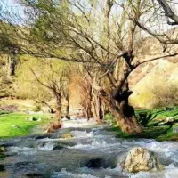 طبیعتگردی وگردشگری