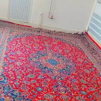فرش دست باف وتمیز نو بدون پوسیدگی ورفتگی|فرش|آذرشهر, |دیوار