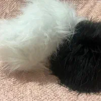 کلاه روسی|لوازم خیاطی و بافتنی|مراغه, |دیوار