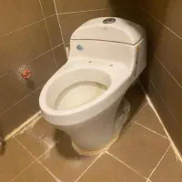 توالت فرنگی