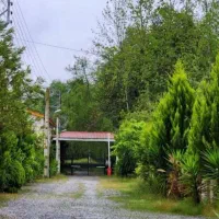 بازدید این زمینو ازدست نده یه فرصت عالی زمین ساخت|فروش زمین و ملک کلنگی|رویان, |دیوار