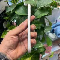 Iphone 13 cha|موبایل|شیراز, زند|دیوار