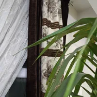 والان پرده|پرده، رانر، رومیزی|تهران, کیانشهر|دیوار