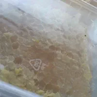عسل کاملا طبیعی