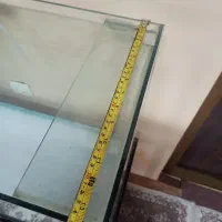 آکواریوم ماهی ۳ عدد|ماهی|بندر انزلی, متروپل|دیوار