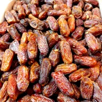 خرما خاصوی ۱۶۰|عمده‌فروشی|تهران, امام حسین|دیوار