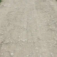 2000 متر جاده اولادقباد چیا گندم