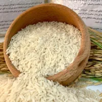 پک وکیوم ۲ کیلویی  برنج طارم هاشمی