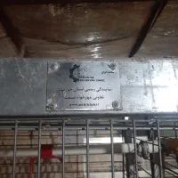 قفس بلدرچین و مرغ