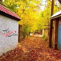 کافی نت پاییز