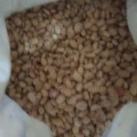 لوبیا چیتی۲۰کیلو