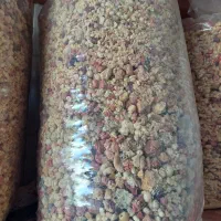 انزروت -گنجه