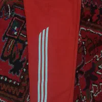 لباس ورزشی|کیف، کفش، کمربند|ایلخچی, |دیوار