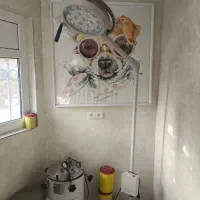 فروش وسایل کلینیک دامپزشکی به علت مهاجرت