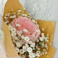 رز شاخه روز دختر|گل مصنوعی|بیرجند, |دیوار