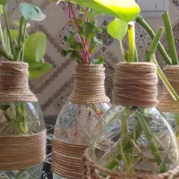بطری.گل.گلدان|گل و گیاه طبیعی|خمینی‌شهر, |دیوار