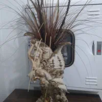 گلدان دکوری