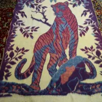 پتو قدیمی|رختخواب، بالش، پتو|بروجرد, |دیوار